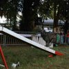 foire-haricots 2011-09-17et18